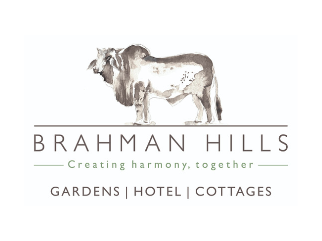 logos (15) logos (15)